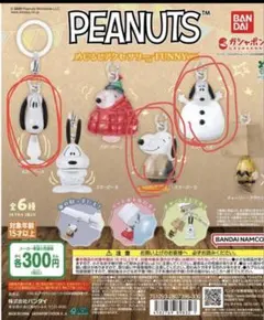 PEANUTS めじるしアクセサリー　3個セット