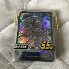 Item thumbnail for item 06274a69-98cb-4ef1-8afc-8e957fbb0afa