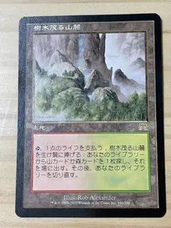 2026年最新】樹木茂る山麓 foilの人気アイテム - メルカリ