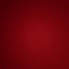 専用