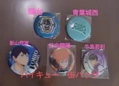 ハイキュー!! 缶バッジセット