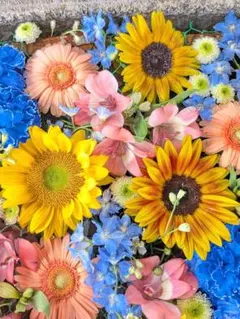 ひろりん*(プロフ必読‼️）様専用