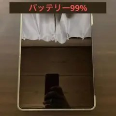 Apple iPad Pro 11icn 第2世代スペースグレー 本体