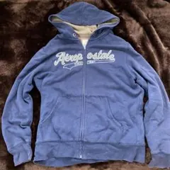 エアロポステール