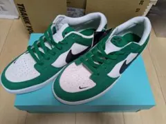 NIKE SB FORCE 58 グリーン ホワイト 30cmのサムネイル