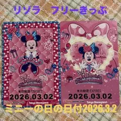 ★リゾラ★フリーきっぷ★パルパルーザ★ミニー★ディズニーリゾートライン★期限切れ