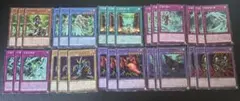 遊戯王　セネト　デッキパーツ　ノーマル30枚セット