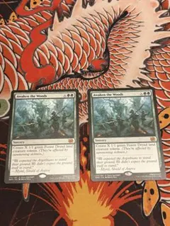 MTG 森林の目覚め ボーダーレス 日本語版 - メルカリ