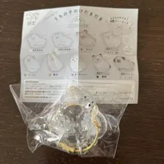 うちの子のけだまだま　プードル