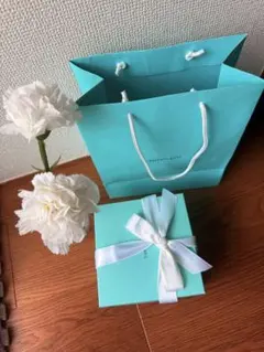 2025年最新】TIFFANY ショップ袋・ショッパーの人気アイテム