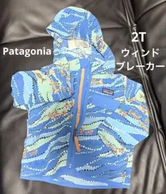Patagonia ウィンドブレーカーフード取り外し可
