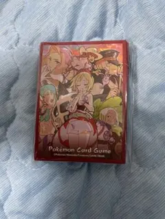 カイ　スリーブ