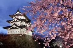 2026年最新】旧ワッぺの人気アイテム - メルカリ