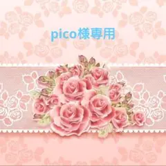 専用