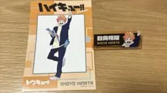 ハイキュー‼︎ トウキュー‼︎ ネームプレート 特典ポストカード日向翔陽