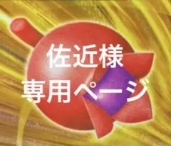 佐近様　専用ページ　まとめ売り