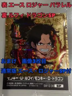 ロジャーパラレル、裏エースロジャー ロジャーパラレル、裏エースロジャー ロジャーパラレル、裏
