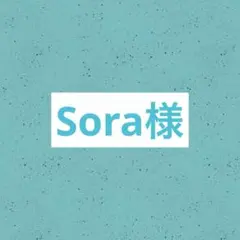 Sora(´ฅ•ω•ฅ｀)様専用 リクエスト 2点 まとめ商品