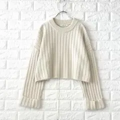 パブリックトウキョウ【F】薄茶 ショートワイドリブニット 毛混 ストレッチ 厚手のサムネイル