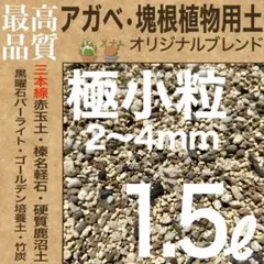 【三本線赤玉土使用】アガベ・塊根植物用土 「極小粒」 ㍑ / グラキリス 実生のサムネイル
