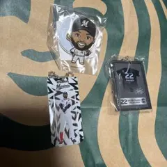 千葉ロッテマリーンズ グレゴリー・ポランコ グッズセット