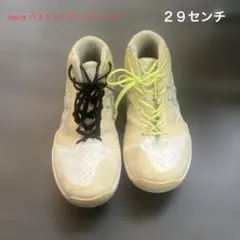 asicsバスケットシューズ　GELHOOP ２９センチ