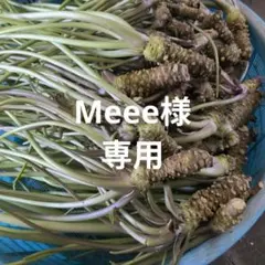 Meee様専用のサムネイル