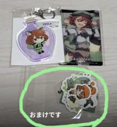 テスラ まとめ売り #コンパス 【戦闘摂理解析システム】