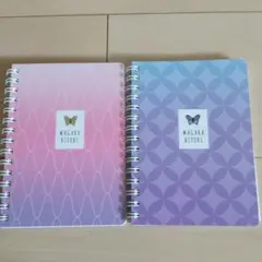 Item thumbnail for item 89c1c902-5a48-4c3d-b354-d1f9016ba00a