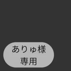 ありゅ様専用ページです