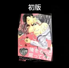 苛めて愛して罵って　初版