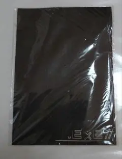 Item thumbnail for item 8dc699aa-da57-4272-b496-428326aa624e