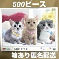 エポック社「目が合っちゃった！」子猫の500ピースジグソーパズル 箱ありのサムネイル
