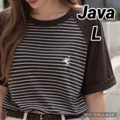 新品《JaVaジャバコラボ》綿100％　胸刺繍　ラグラン　ボーダー　Tシャツ