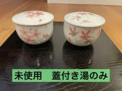 Item thumbnail for item 88263e15-3b21-4786-a76b-5242a6e776f0