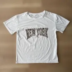 Item thumbnail for item 8b095426-63ed-41ab-9468-7b96f4144752