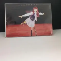 AKB48 野呂佳代 写真