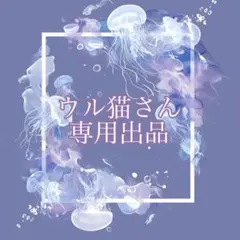 ウル猫さん専用出品 鬼滅の刃 竈門炭治郎さん セット