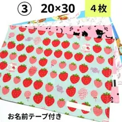 ③【４枚】20×30ランチョンマット幼稚園◆いちごみるく・バレリーナ・ねこ＆鍵盤