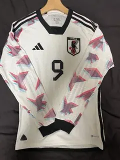 Item thumbnail for item 9e01de52-d4c9-492d-a9e1-ae50639dacb8