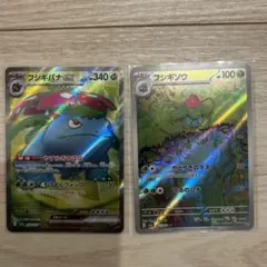 フシギバナSR フシギソウAR