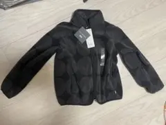 Item thumbnail for item 949e1007-b964-413f-98a2-9647546b23e0