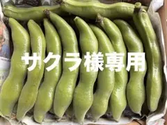 サクラ様専用