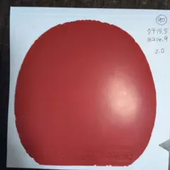 XIOM 卓球 ラバー VEGA PRO 赤
