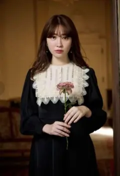 herlipto Le Grand Midi Dress/S