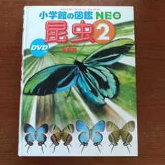 小学校の図鑑NEO 昆虫2 DVD付き