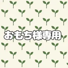 おもち様専用ページ