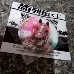 ダービー馬列伝くじ ミホノブルボン 缶バッジ