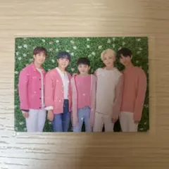 SEVENTEEN HARU ボカチ トレカ