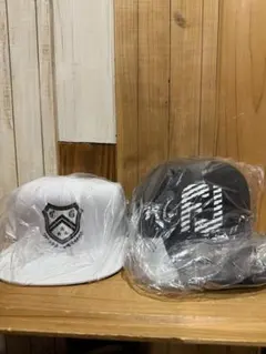 Item thumbnail for item dc6ad07c-f978-44fd-bb55-e9d9e8ebd614